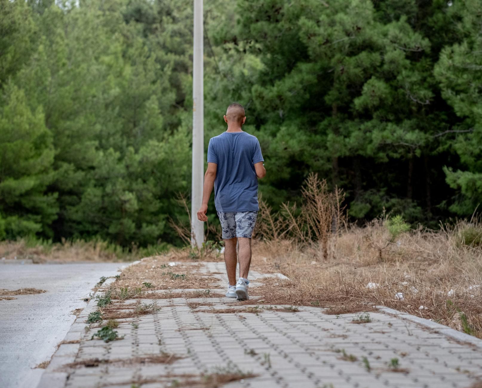 man walking on sidewalk near forest